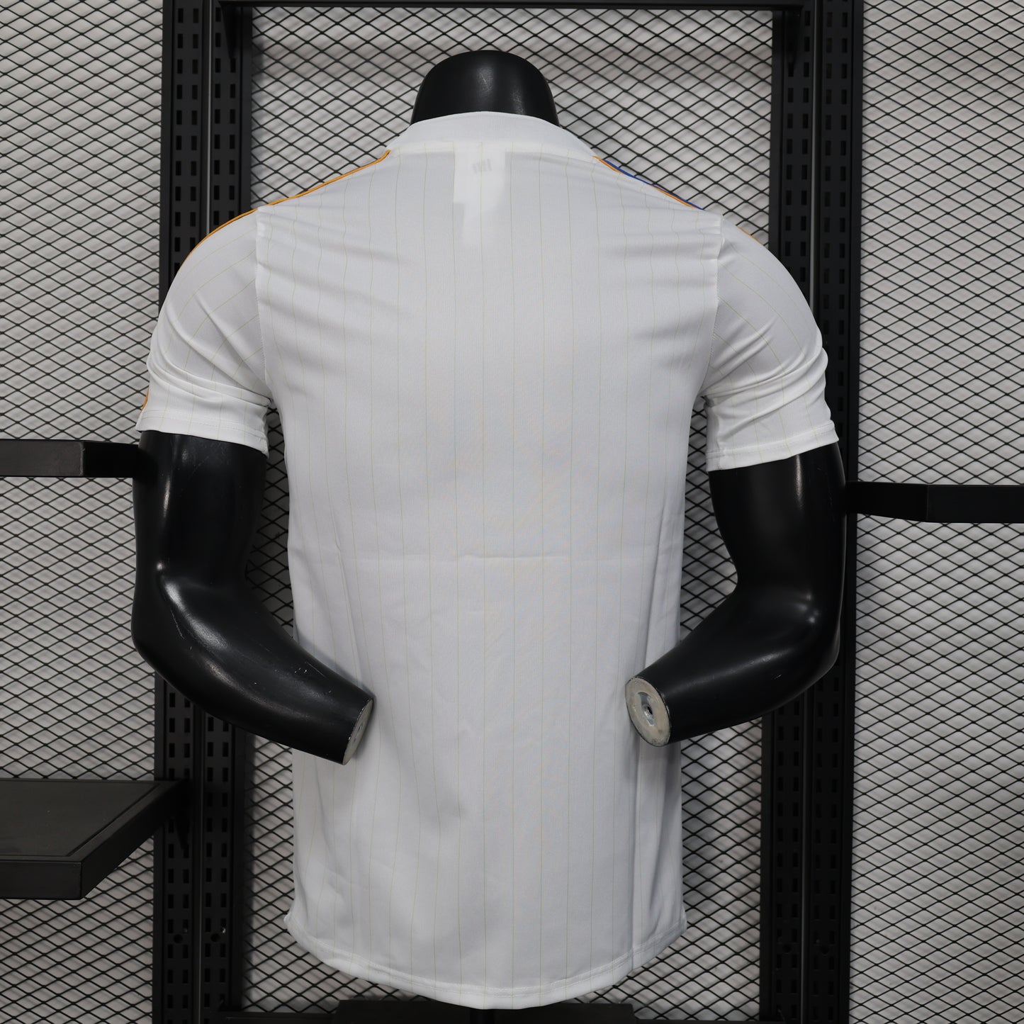 Real Madrid 2024/25