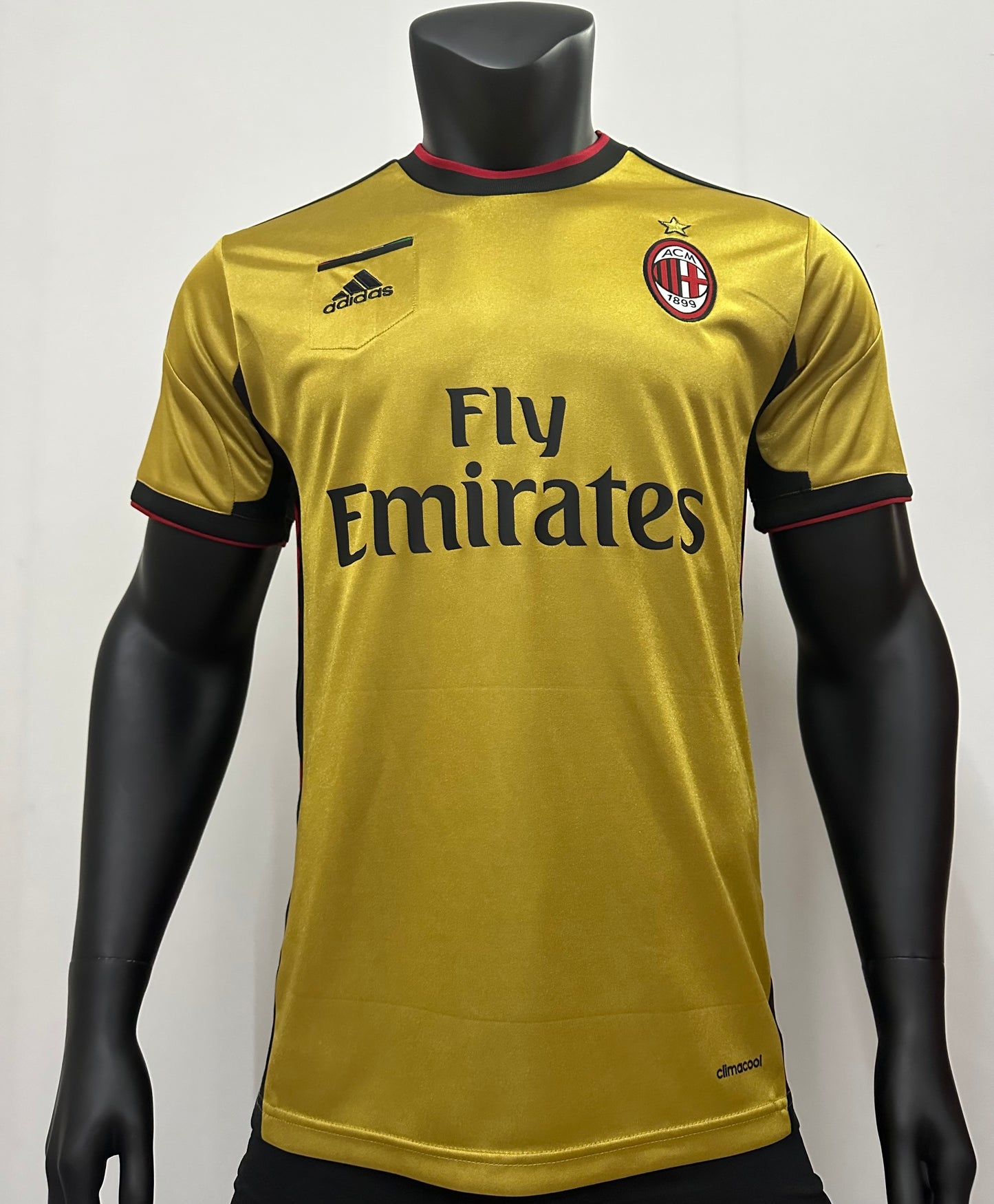 AC Milan 2013/14