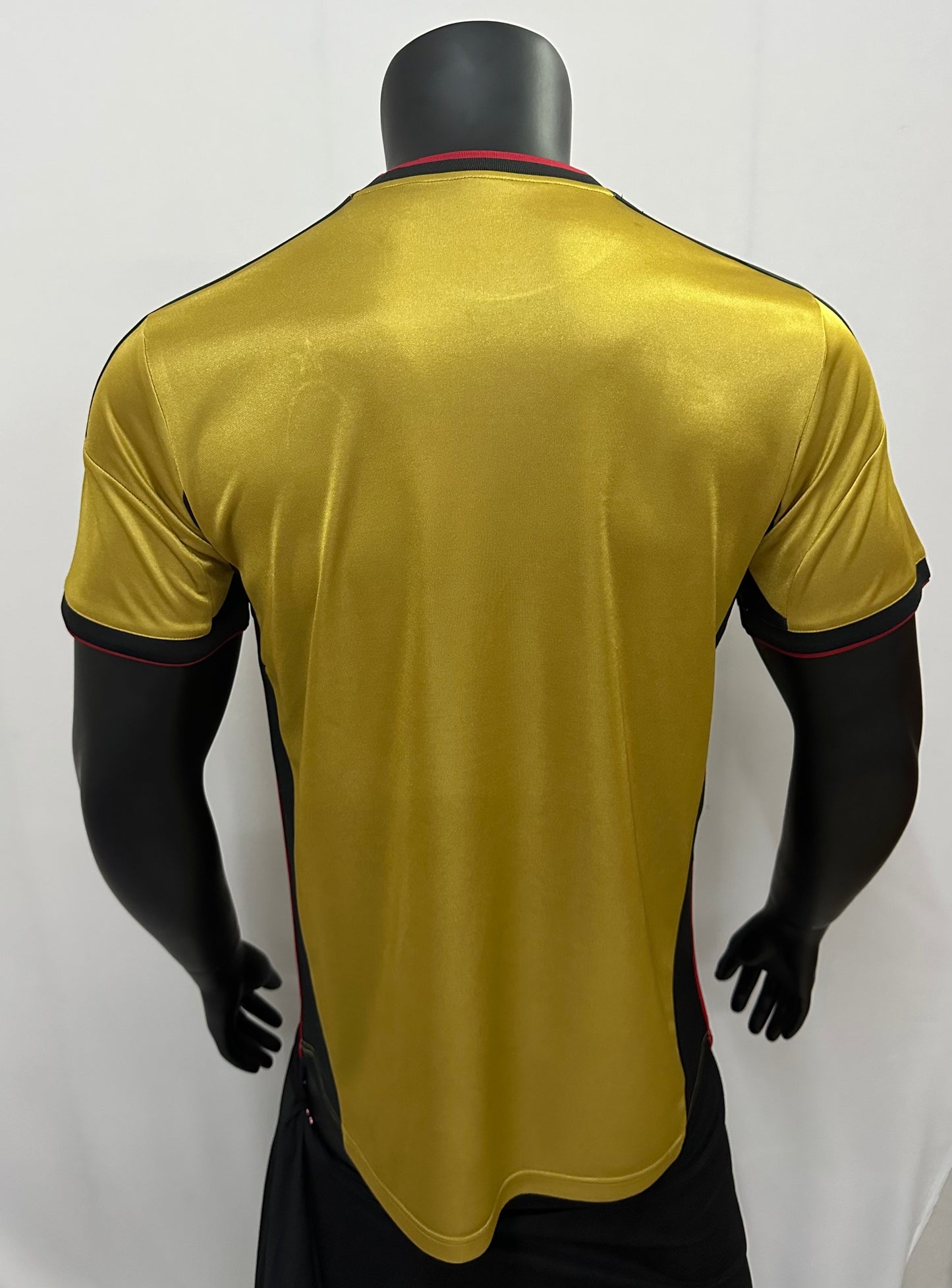 AC Milan 2013/14
